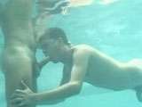 Gays brasileiros sexo na piscina